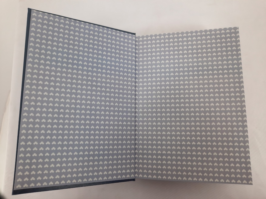 Bible. Modern Translation