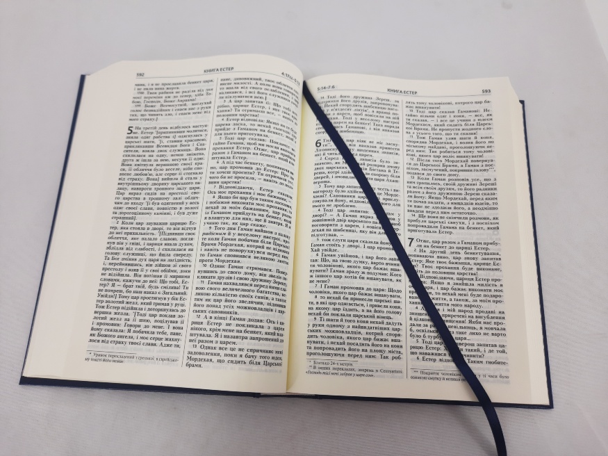 Bible. Modern Translation