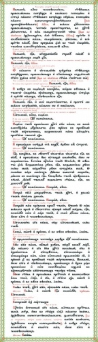 Prothesis on plastic 104×30