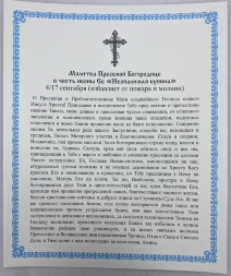 Icon of the Mother of God "The Unburnt Bush" 24x20cm