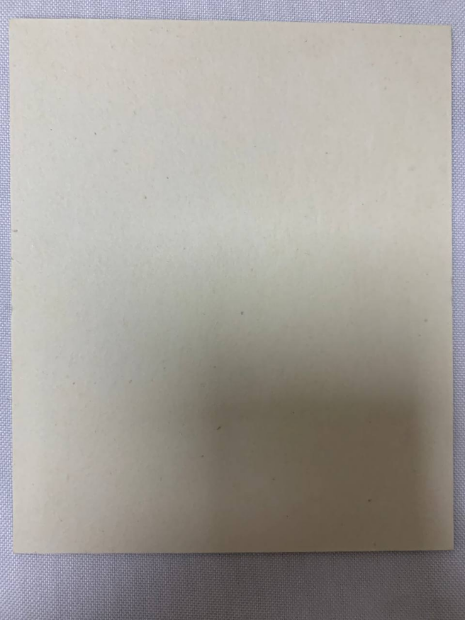 Icon of Saint Blessed Matrona (Z. F.)