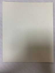 Icon of Saint Anastasia the Great Martyr