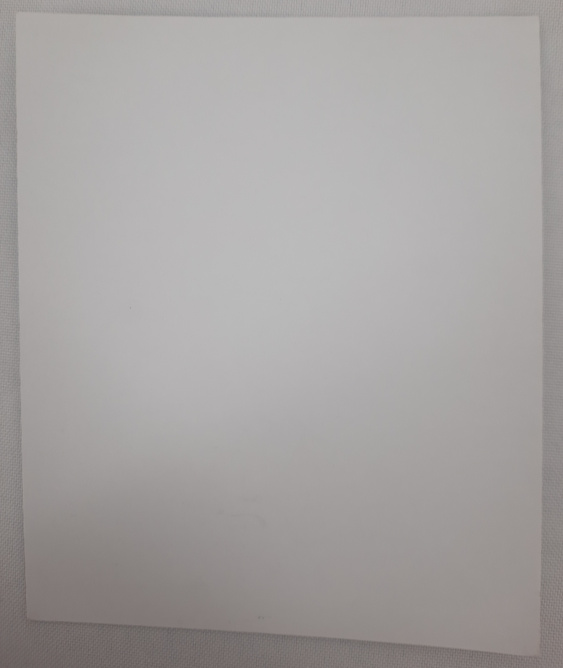 Icon of the Mother of God "Iveron" Z. F.