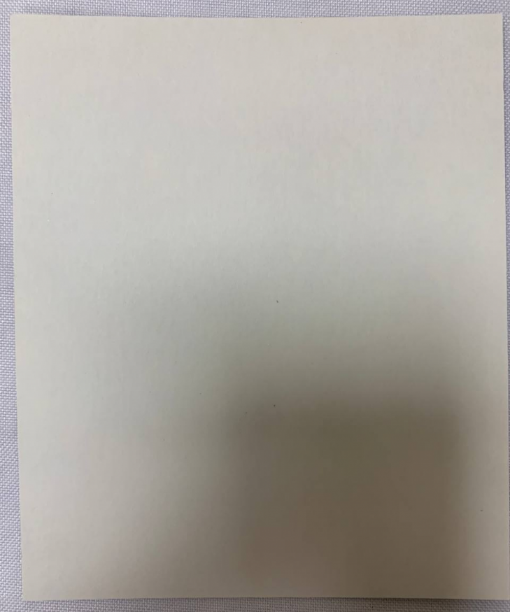 Icoană a Sfintei Mucenițe Nika (Victoria)