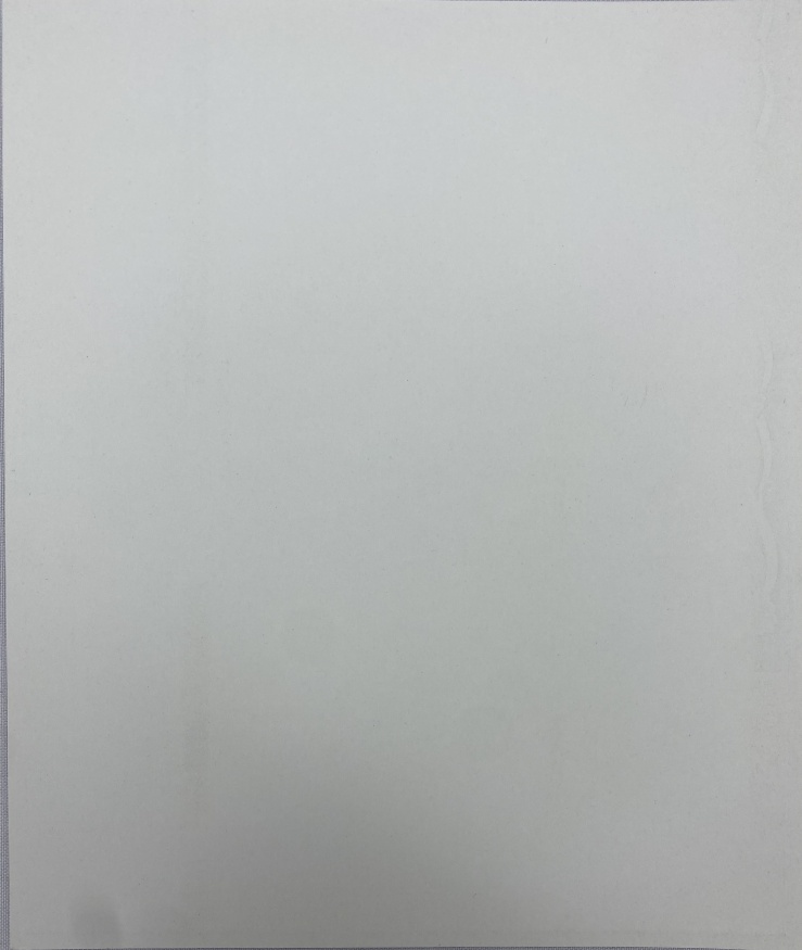 Icoana Chipul Nefăcut de Mână 24х20cm