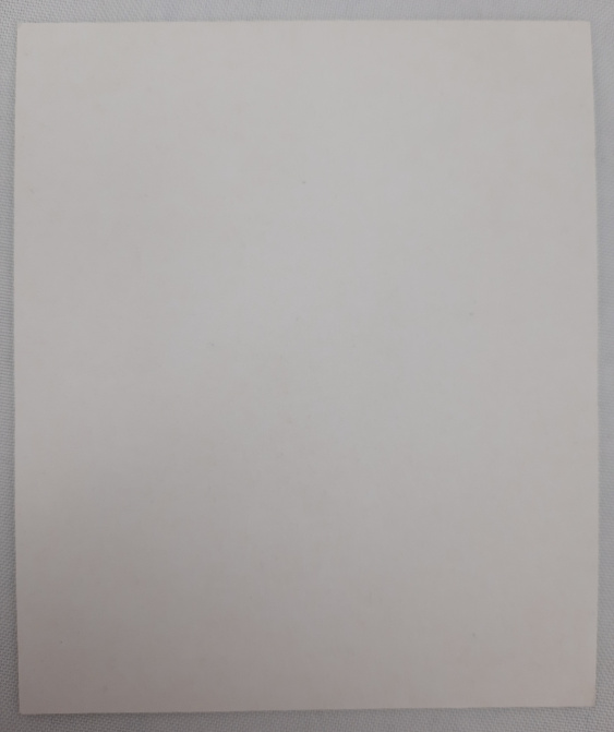 Icoană Sfântului Episcop Nichita din Novgorod