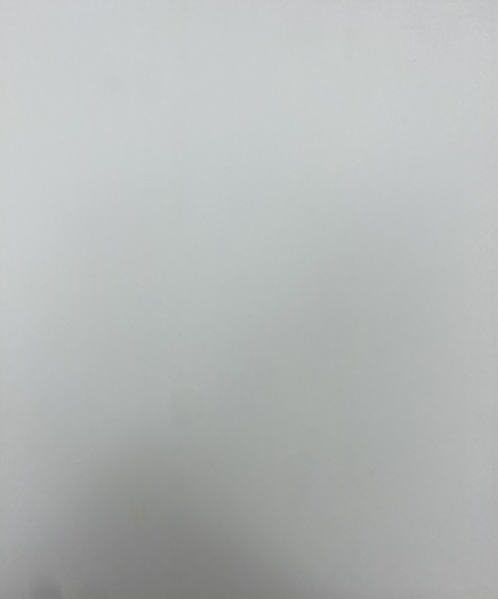 Icoană Hristos în cununa de spini 24x20cm