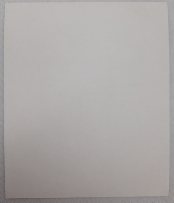 Icoana sfântului drept credincios cneaz Vladislav al Serbiei