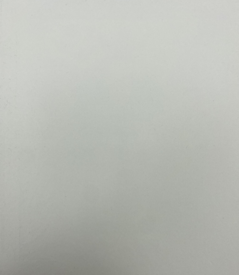 Icoana Regele Slavei 15x18 cm