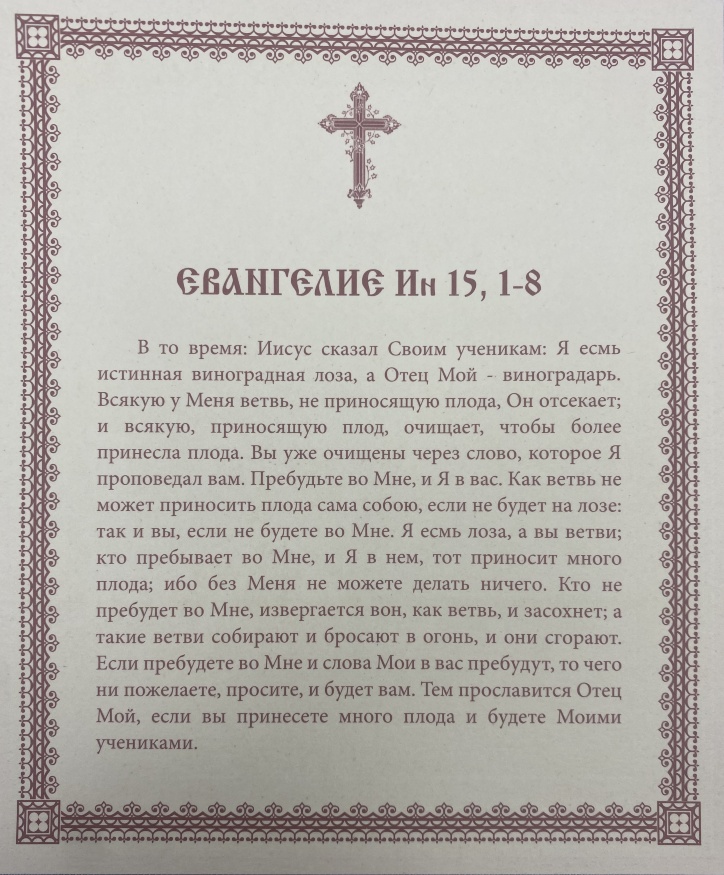 Icoană Hristos Vița Adevărată 15x18cm