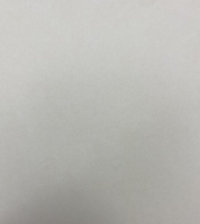 Icoana Mântuitorul în Coroană de Spini 15x18cm