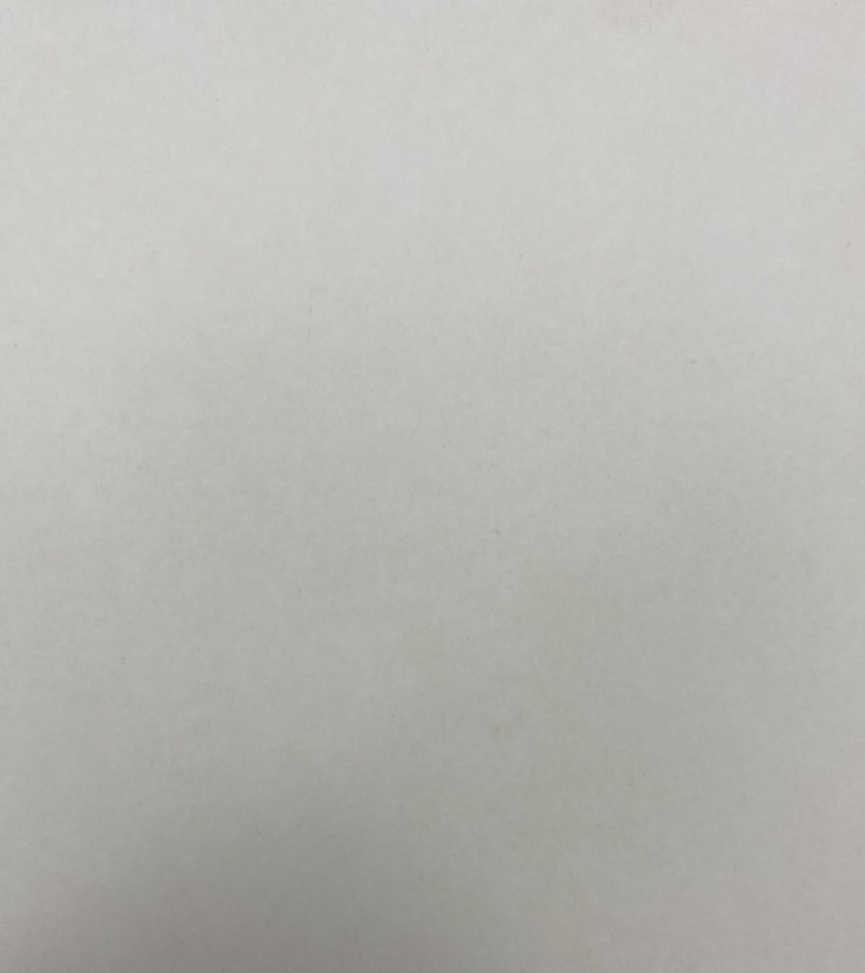 Icoana Mântuitorul în Coroană de Spini 15x18cm