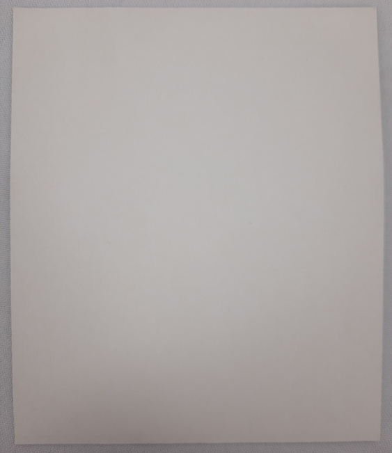 Icoana Maicii Domnului „Poceaev”