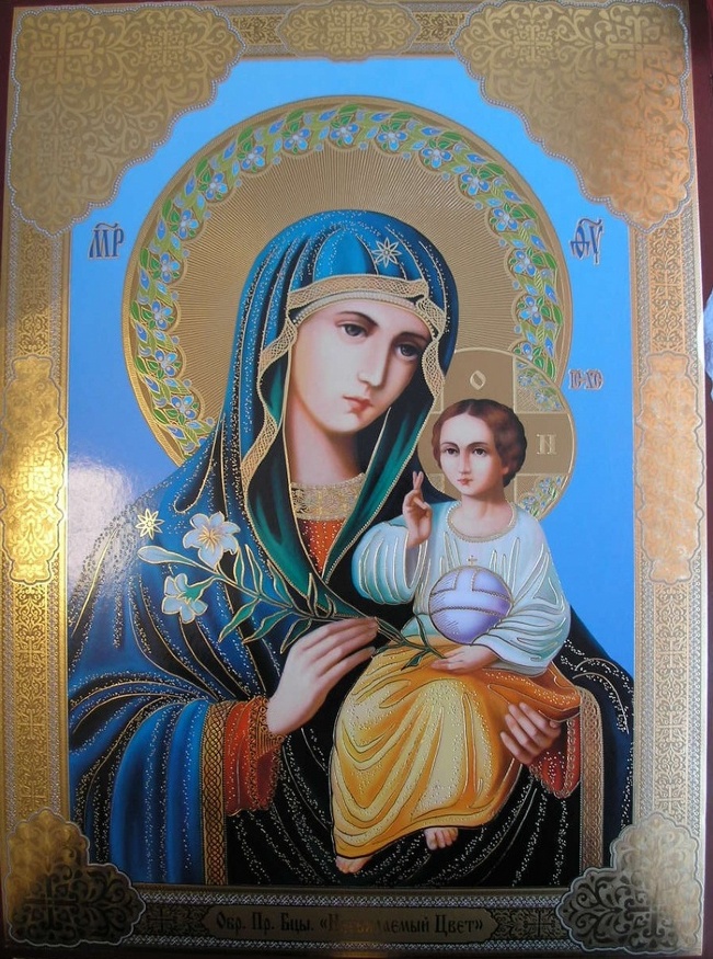 Icoana Maicii Domnului Floarea Neveştejită 30x40