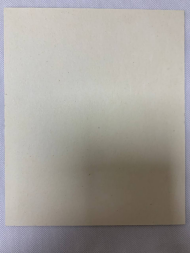 Icoana Sfintei Fericitei Matrona (Z. F.)