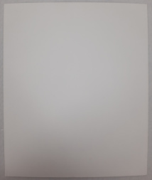 Icoana Acoperământul Preasfintei Născătoare de Dumnezeu Z. F.