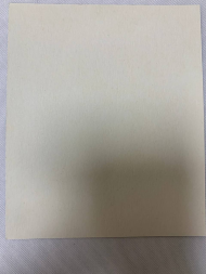 Icoană a Sfintei Mucenițe Raisa