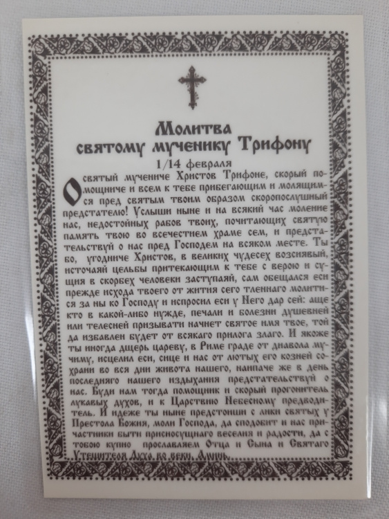 Icoană laminată Sfântul Mare Mucenic Trifon (P. R.)