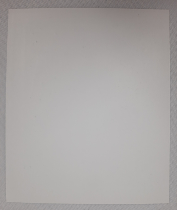 Icoana Maicii Domnului „Ostrobramska” B. F.