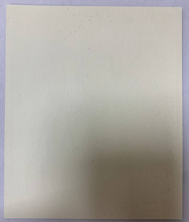 Icoană Sfânta Dreaptă Ana