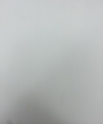 Икона Спаситель в терновом венце 24х20 см