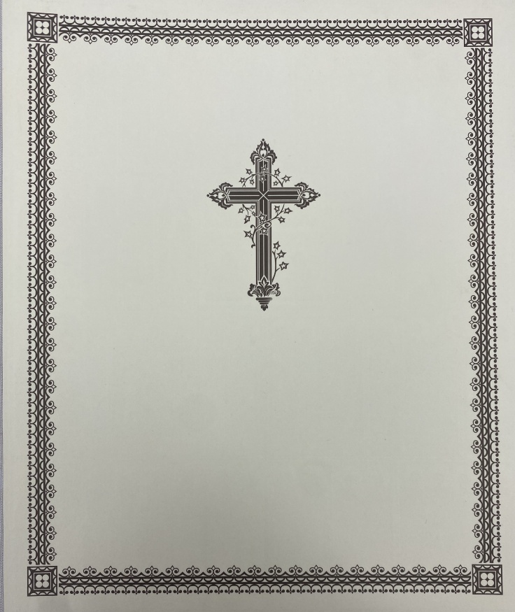 Икона Собор всех целителей 24х20 см