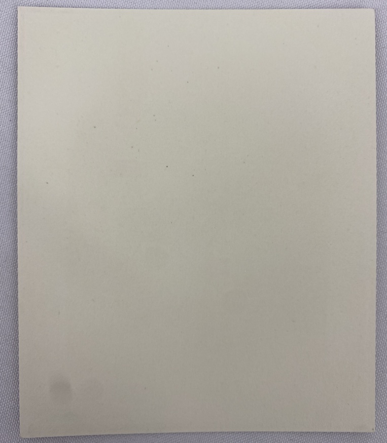 Икона Божией Матери «Казанская»