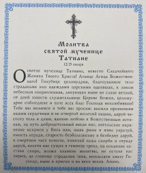 Икона святой мученицы Татианы 24х20 см