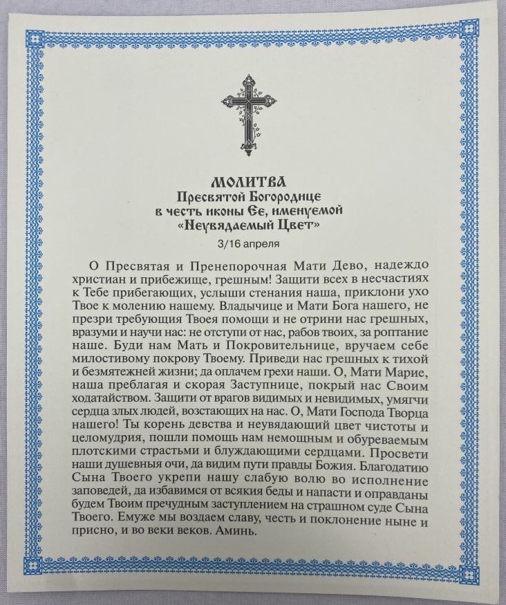 Икона Божией Матери "Неувядаемый Цвет" (Захарьевский Район) 24х20 см