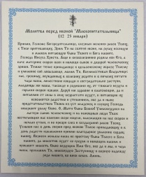 Икона Богоматери «Кормильница» 24х20 см