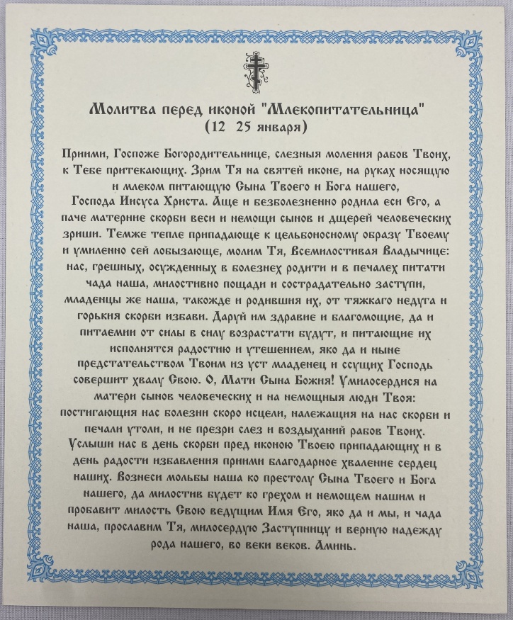 Икона Богоматери «Кормильница» 24х20 см