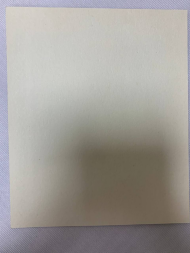 Икона святой блаженной Матроны (Босоногая Феодосия)