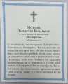 Ікона Богородиці "Всецариця" 24х20см