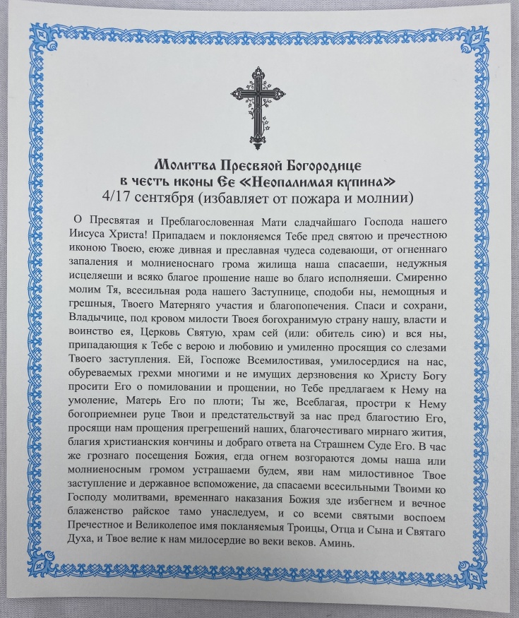 Ікона Богородиці "Неопалима Купина" 24х20см