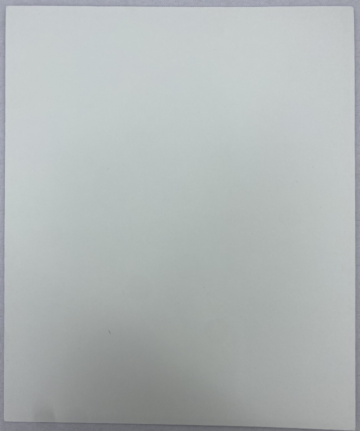 Ікона Богородиці "Нев'янучий цвіт" (Т. Р.) 24х20см