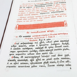 Триодь цветная