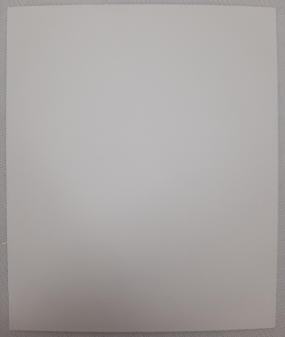 Ікона Покров Пресвятої Богородиці З. Ф.